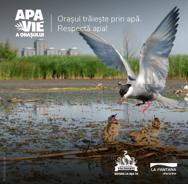 Parcul Natural Vacaresti 1, Foto: Helmut Ignat