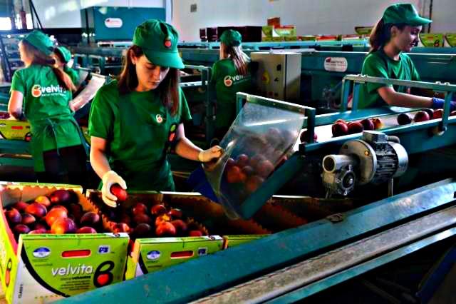 Fermieri, Foto: Comisia Europeana