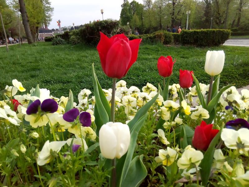 Aprilie, Foto: USER UPLOADED