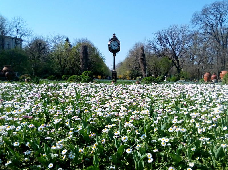 Aprilie in Cismigiu, Foto: USER UPLOADED