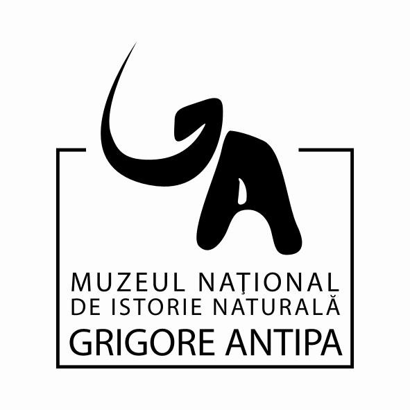 Muzeul Antipa, Foto: Muzeul Antipa