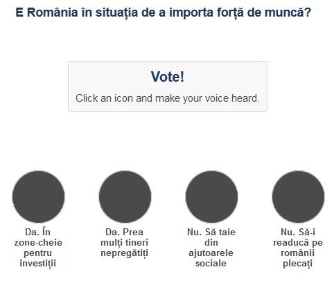 Sondaj forta de munca, Foto: Hotnews