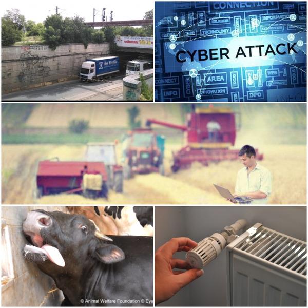 Business report, Foto: Colaj foto