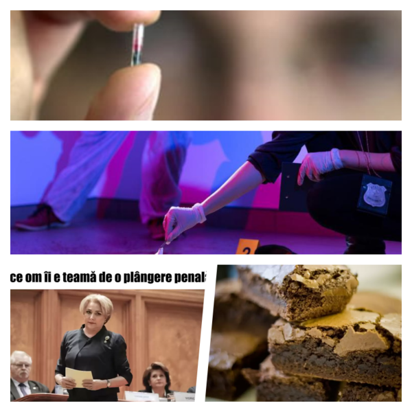 Faze tari, Foto: Colaj foto