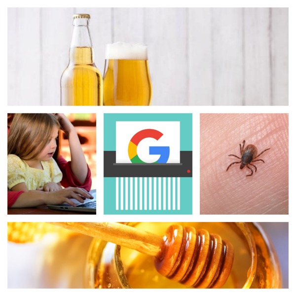 Utile, Foto: Colaj foto