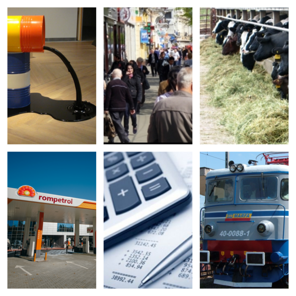 Business report, Foto: Colaj foto