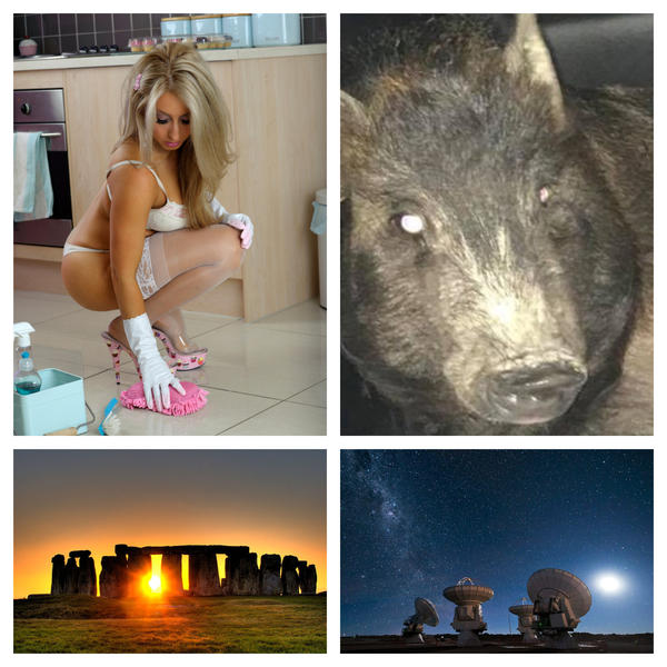 Faze tari, Foto: Colaj foto