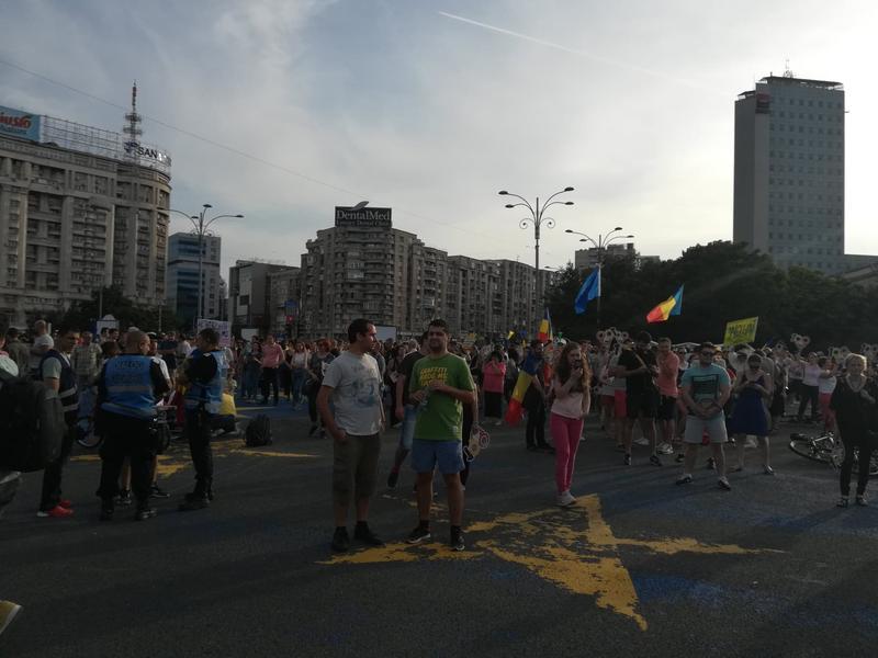 Protest Piata Victoriei, Foto: Hotnews