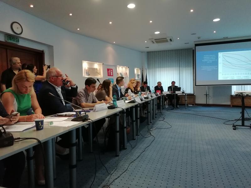 Imagine din timpul conferinei, Foto: Hotnews