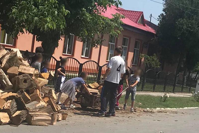 Elevi la carat de lemne, Foto: Obiectiv Vocea Brailei