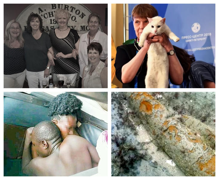 Faze tari, Foto: Colaj foto