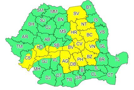 Cod galben, Foto: ANM