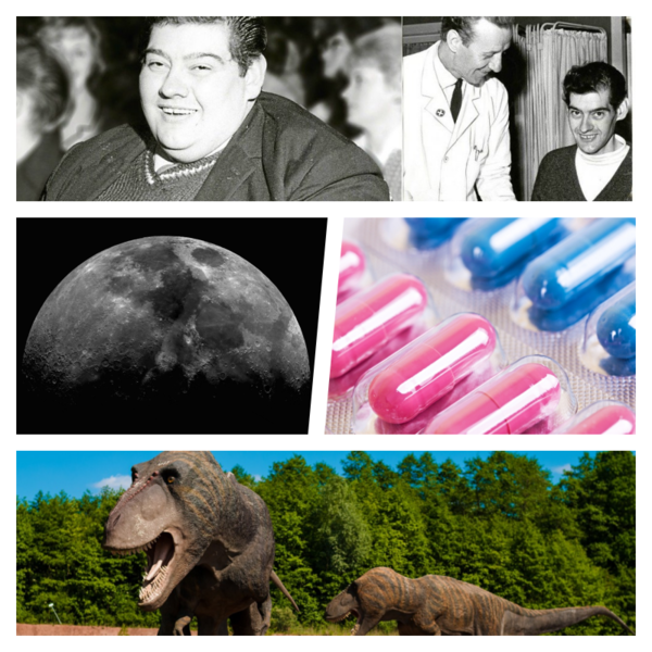 Faze tari, Foto: Colaj foto