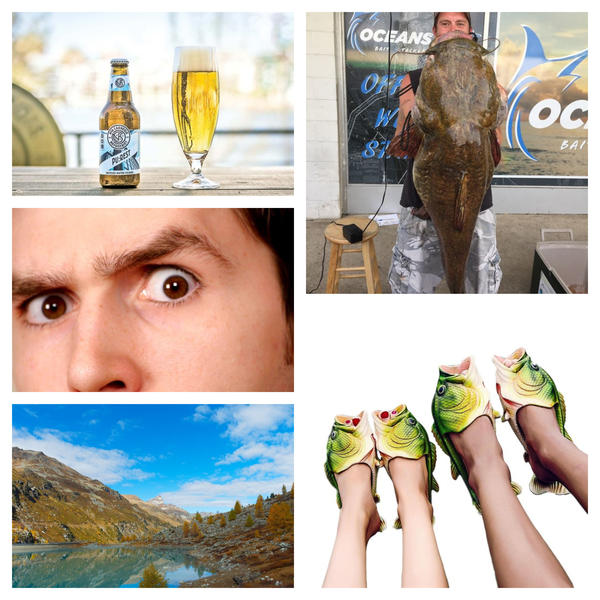 Faze tari, Foto: Colaj foto