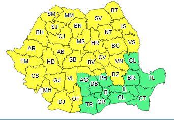 Cod galben, Foto: ANM