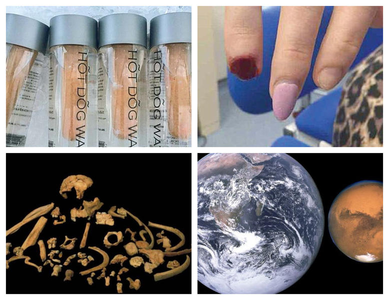 Faze tari, Foto: Colaj foto