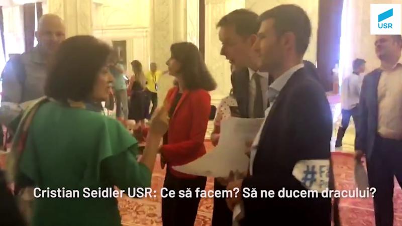 Elvira Sarapartin (PSD) ii dracuieste pe USR-isti, Foto: Captura video Facebook