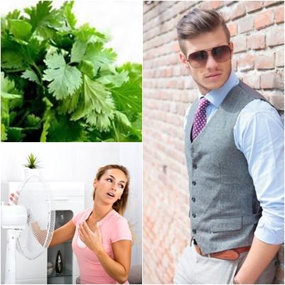 utile, Foto: Hotnews