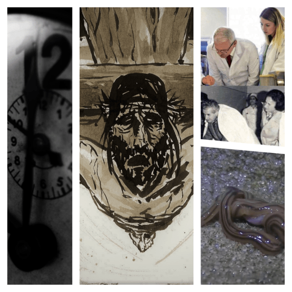 Faze tari, Foto: Colaj foto