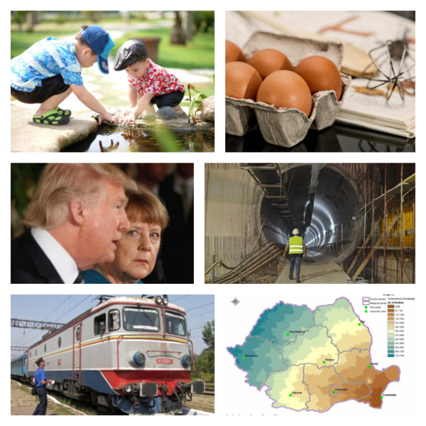 Business report, Foto: Colaj foto