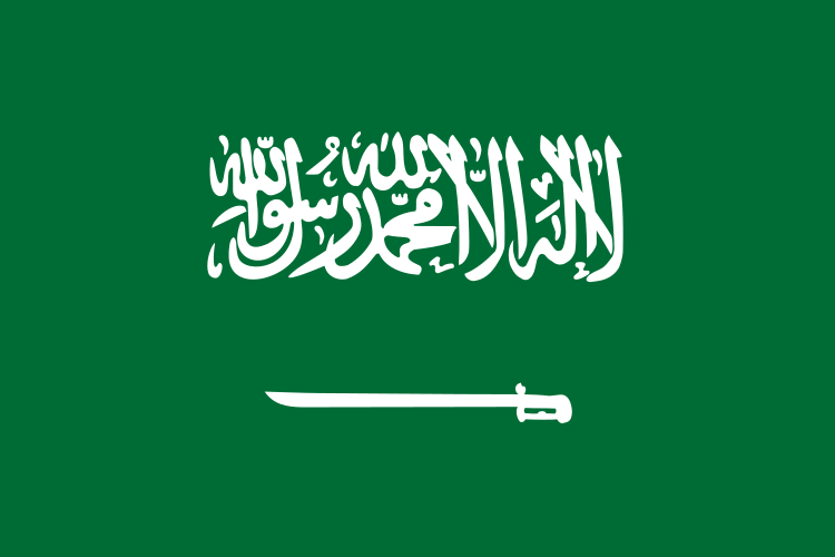 steag arabia saudita, Foto: Wikipedia