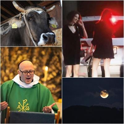 faze tari, Foto: Hotnews