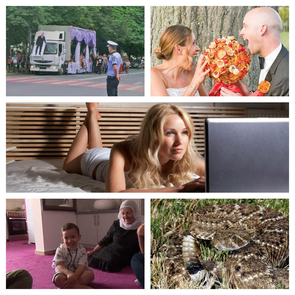 Faze tari, Foto: Colaj foto