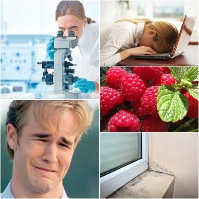 utile, Foto: Hotnews