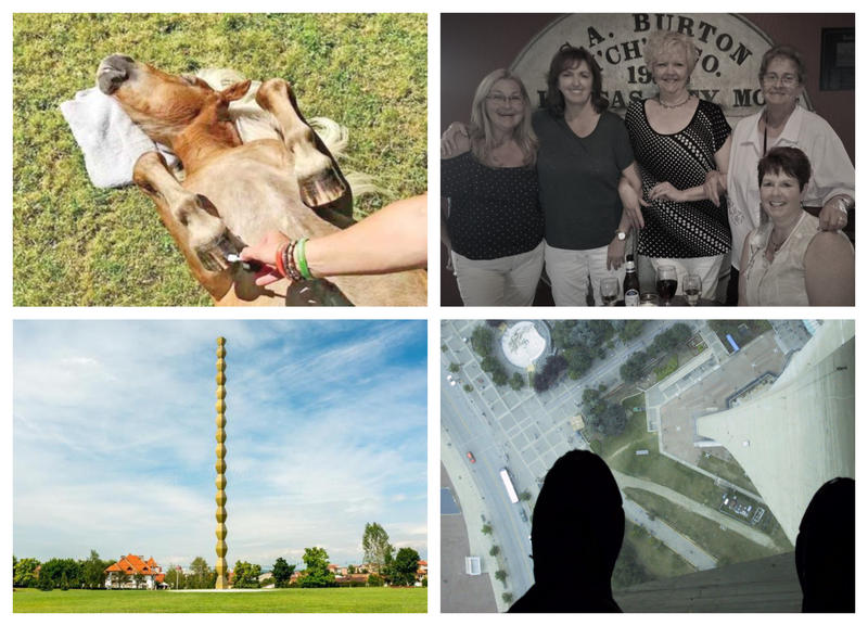 Faze tari, Foto: Colaj foto