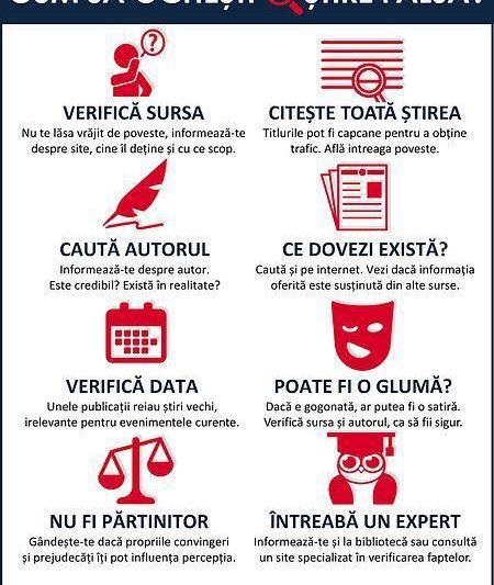 Infograficul Ambasadei Suediei, Foto: Hotnews