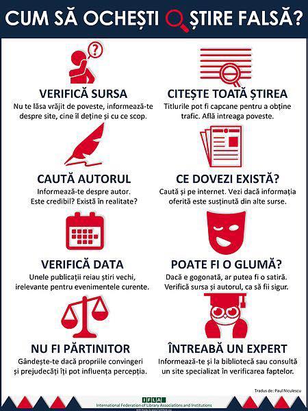 Infograficul Ambasadei Suediei, Foto: Hotnews