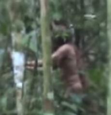 Indigen Padurea Amazoniana, Foto: Captura YouTube