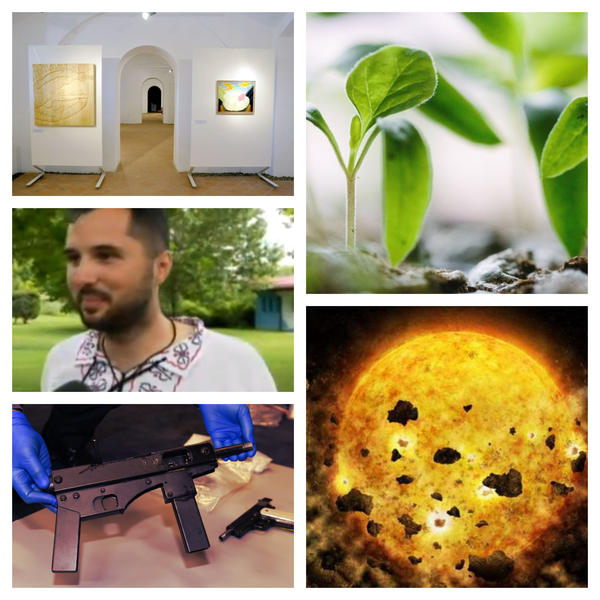 Faze tari, Foto: Colaj foto