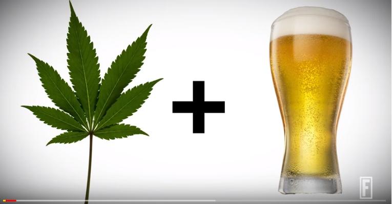 bere din cannabis, Foto: YouTube
