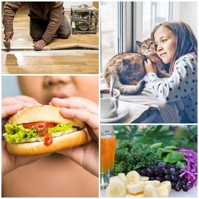 utile, Foto: Hotnews