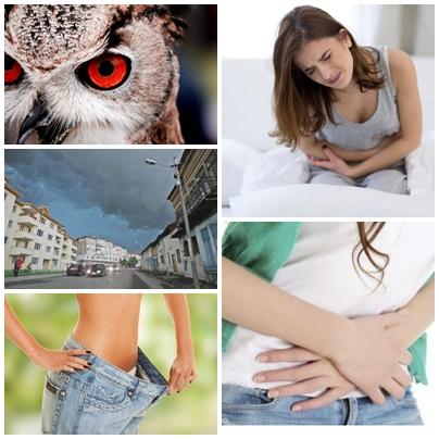 utile, Foto: Hotnews