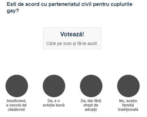 Sondaj parteneriat civil, Foto: Hotnews