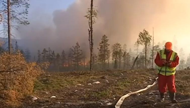 Incendii de padure la Cercul polar, Foto: Captura YouTube