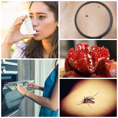 utile, Foto: Hotnews