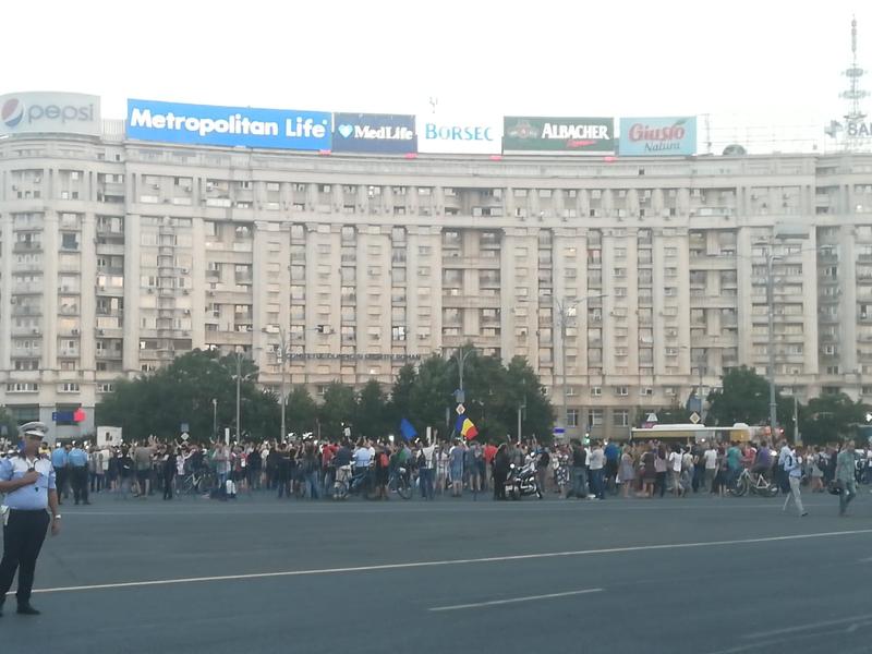 Protest Piata Victoriei, Foto: Hotnews