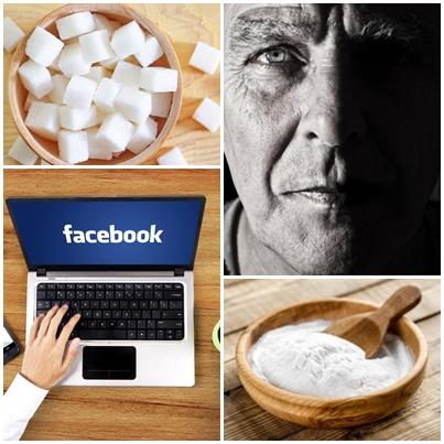 utile, Foto: Hotnews