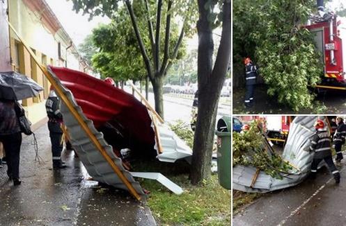 Furtuna in Timisoara, Foto: Facebook/ Tele Europa Nova