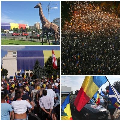 subiecte, Foto: Colaj foto