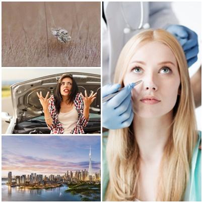 utile, Foto: Colaj foto