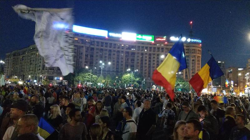 Protest Piata Victoriei 12 august, Foto: Hotnews