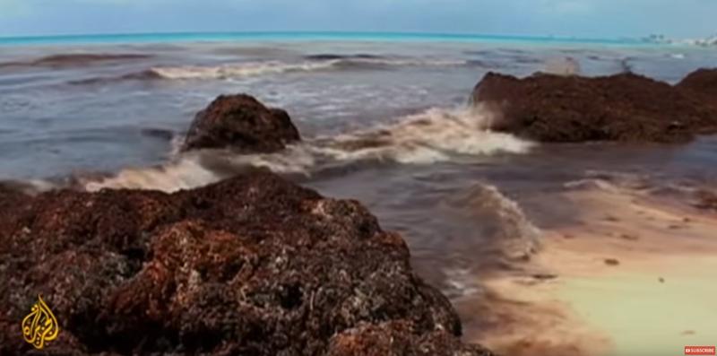 Maree rosie in Florida, Foto: Captura YouTube