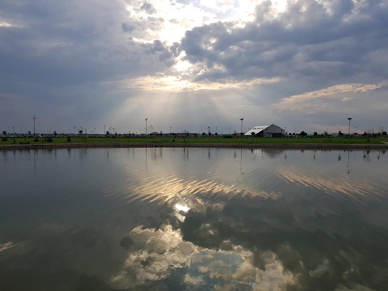 Seara de vara, Foto: Vlad Barza / HotNews.ro