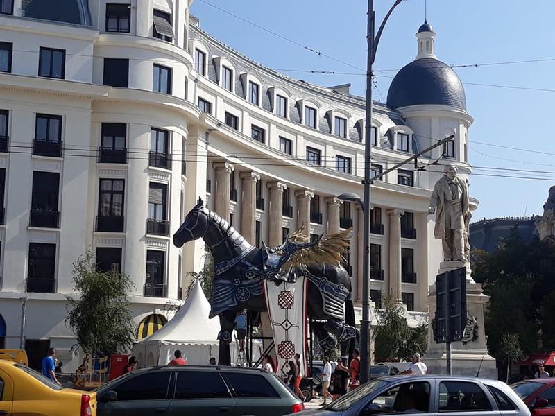 Cal pentru festivalul B-Fit in the Street, Foto: Facebook - Anda Zahiu