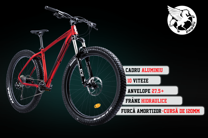 Bicicleta Pegas, Foto: Pegas