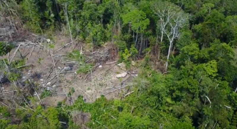 Trib izolat în Amazonia, Foto: Captura YouTube